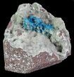 Vibrant Blue Cavansite Cluster on Stilbite - India #67797-2